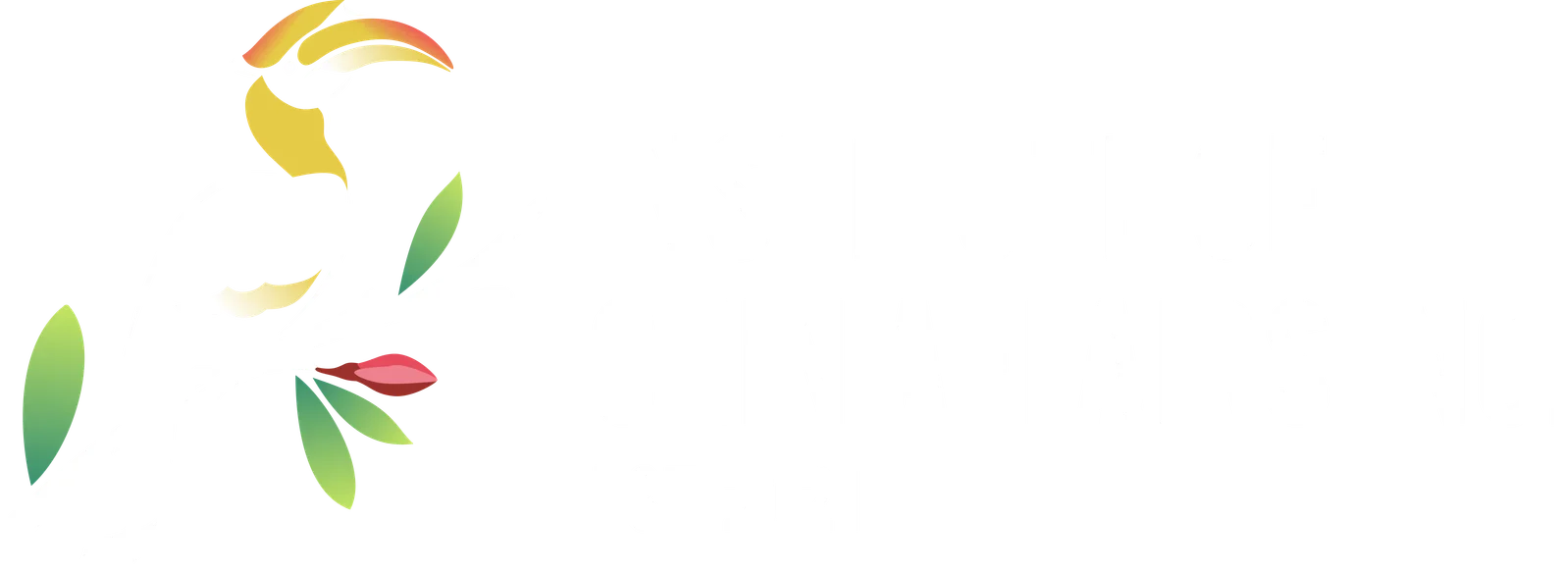 Institute Of Chin Affairs Inc.